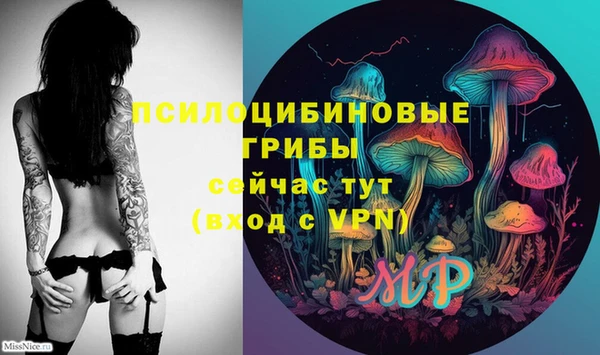 PSILOCYBIN Пересвет