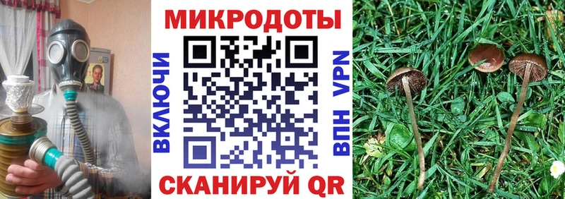 Псилоцибиновые грибы Psilocybe  цена наркотик  Невельск 